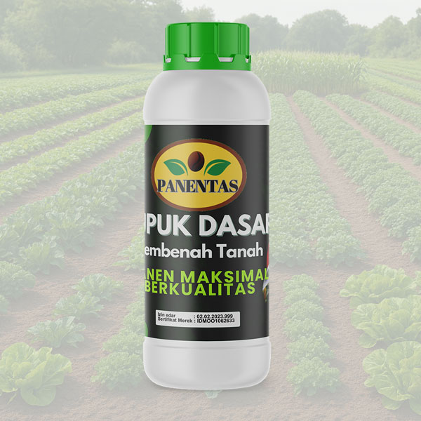 Pupuk Dasar Panentas